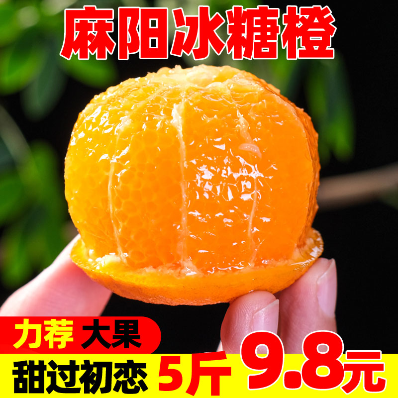 【补贴中】麻阳冰糖橙5斤 湖南当季新鲜水果手剥甜橙子多汁高山血脐