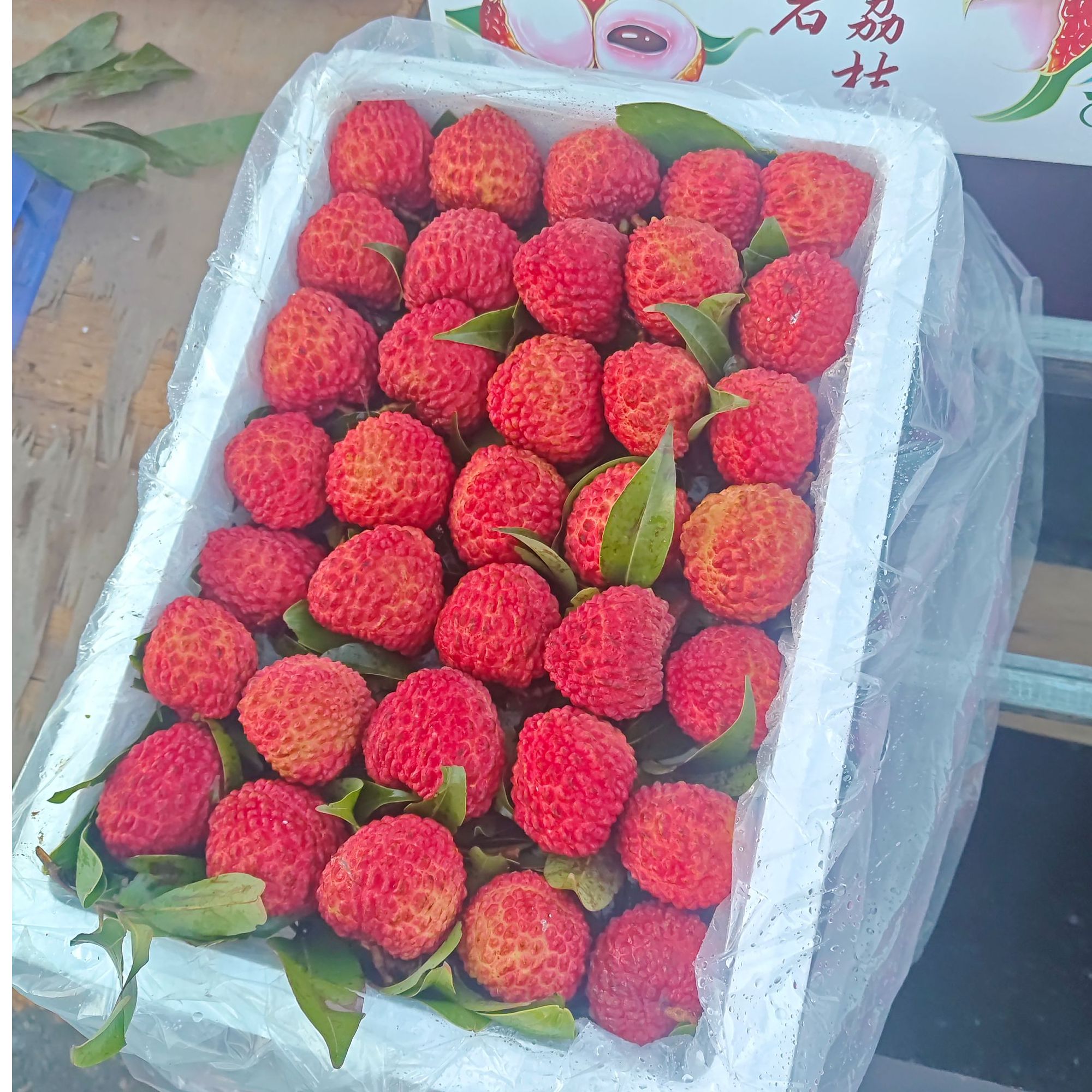 海南荔枝王 火山荔枝皇 5斤左右装 送人优选 40-60g左右超大荔枝荔枝同城送新鲜