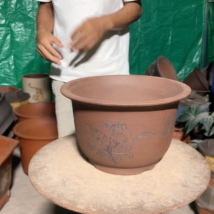 30平角金钟花盆花盆