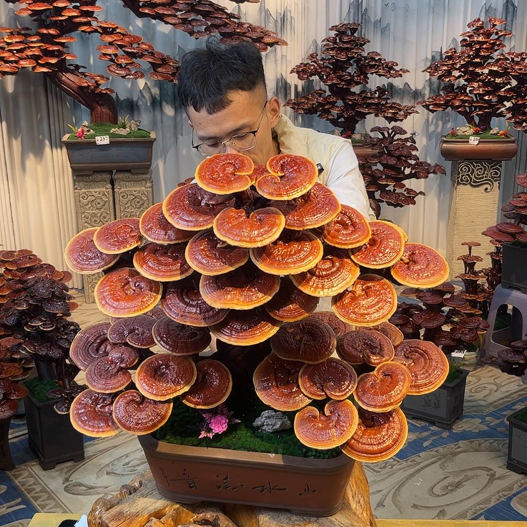 无花朵888888888888