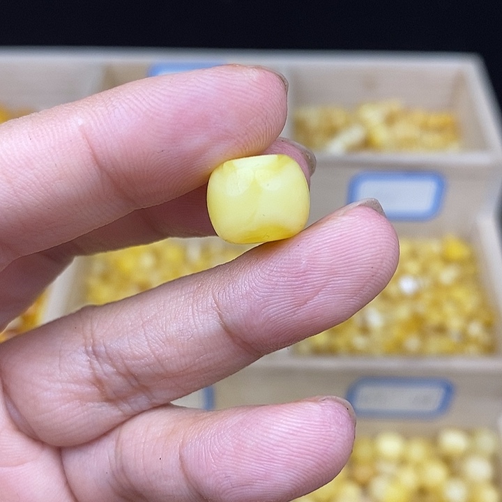 未镶嵌琥珀珠宝奇石45