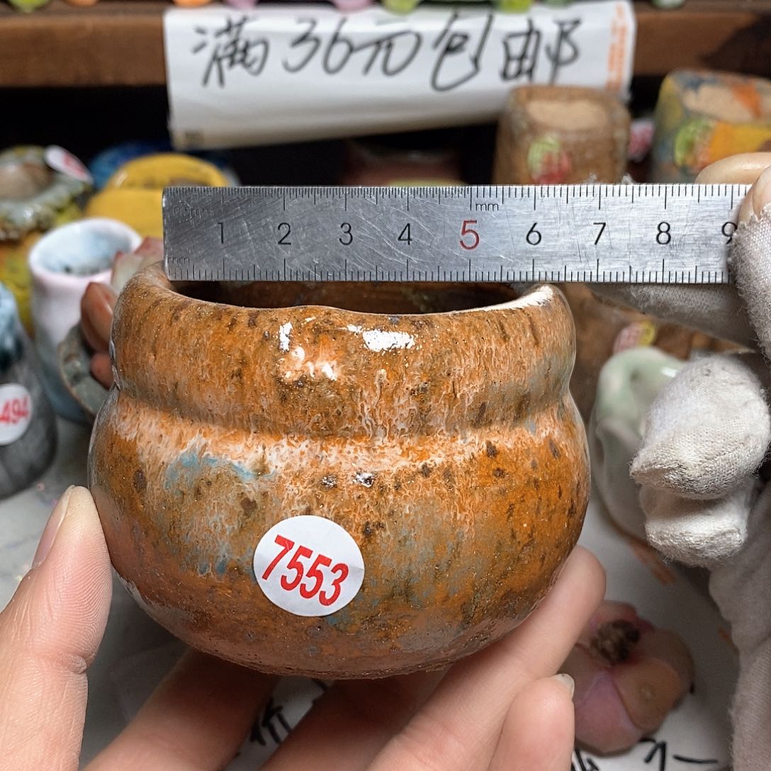 红陶拍5送一个小