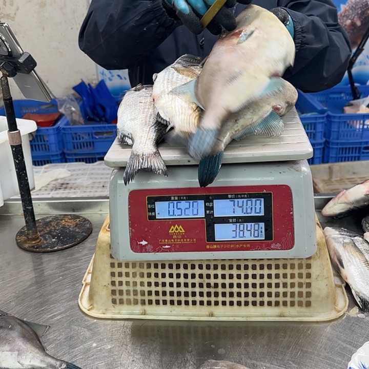 中国大陆V**、杂鱼