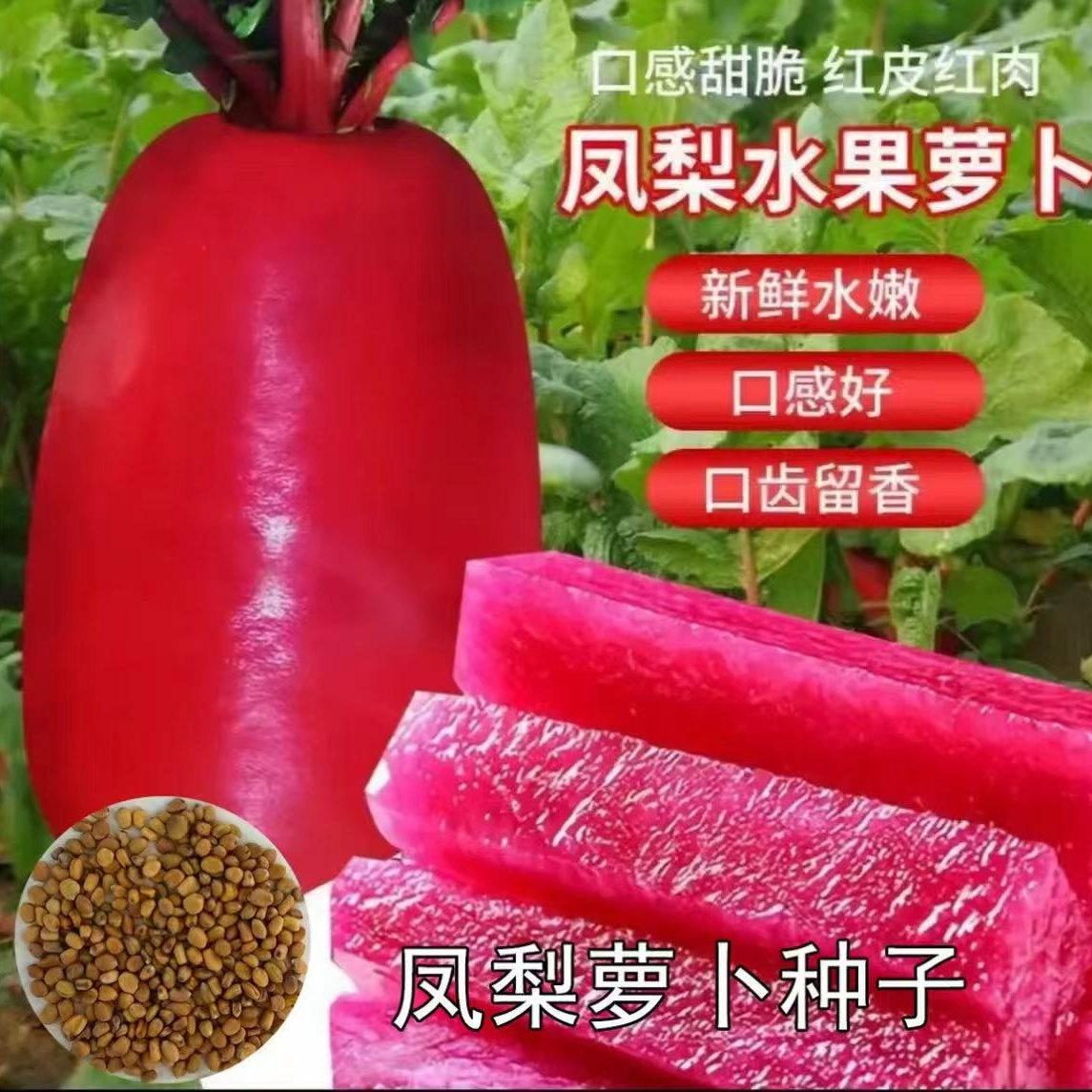 【W】凤梨水果萝卜种子水果萝卜种籽阳台小院商品图