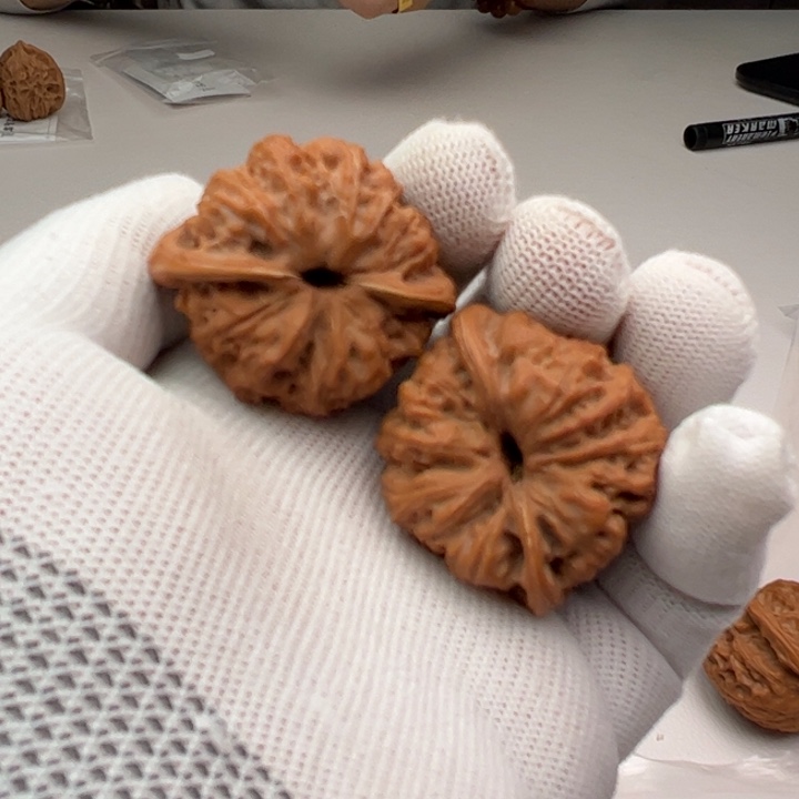 文玩核桃把件Y***龙洞欲332