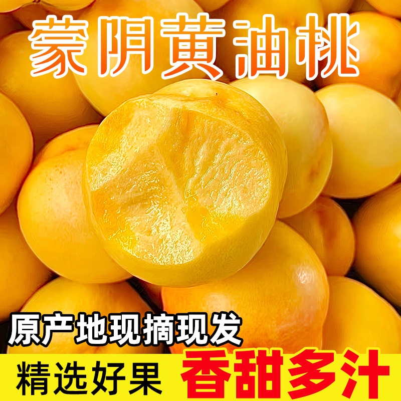 正宗蒙阴黄金油桃现摘新鲜水果沂蒙山特产桃子果园直发