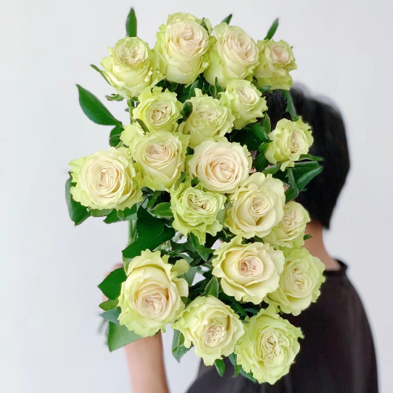 10枝琉璃翠单头玫瑰 铁头玫瑰不开花 (两单发顺丰或京东快递)