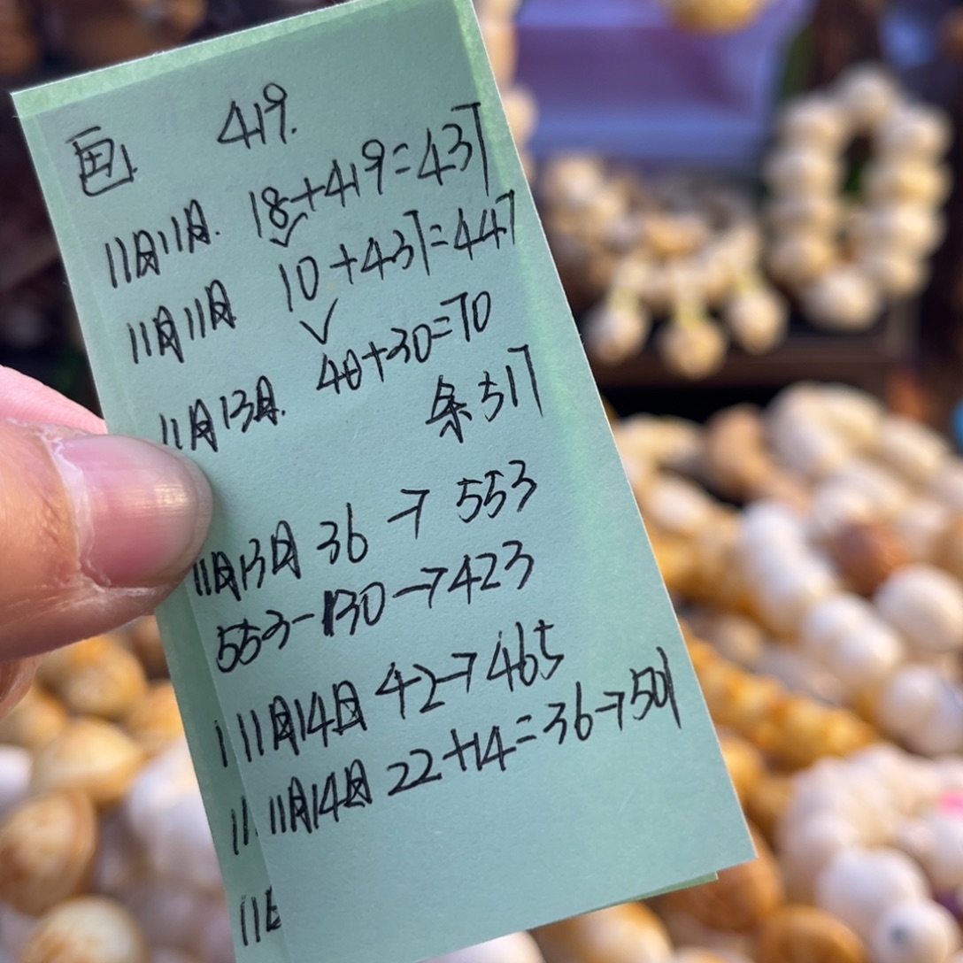 菩提根/象牙果手串画宝预存14