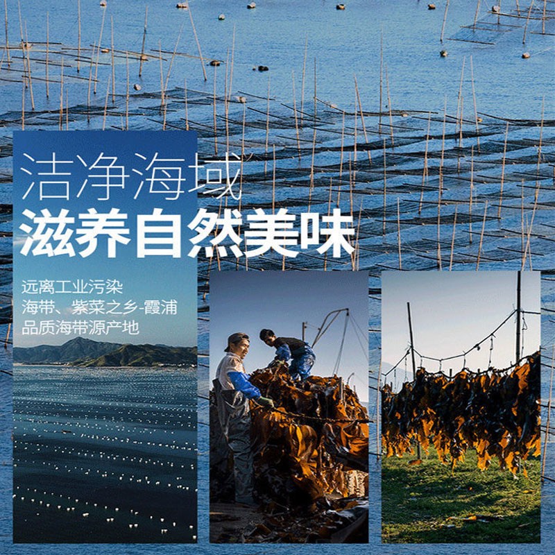 霞浦压缩烘干海带丝片干净无沙22克独立包装厂家直发凉拌火锅食材 图片 3