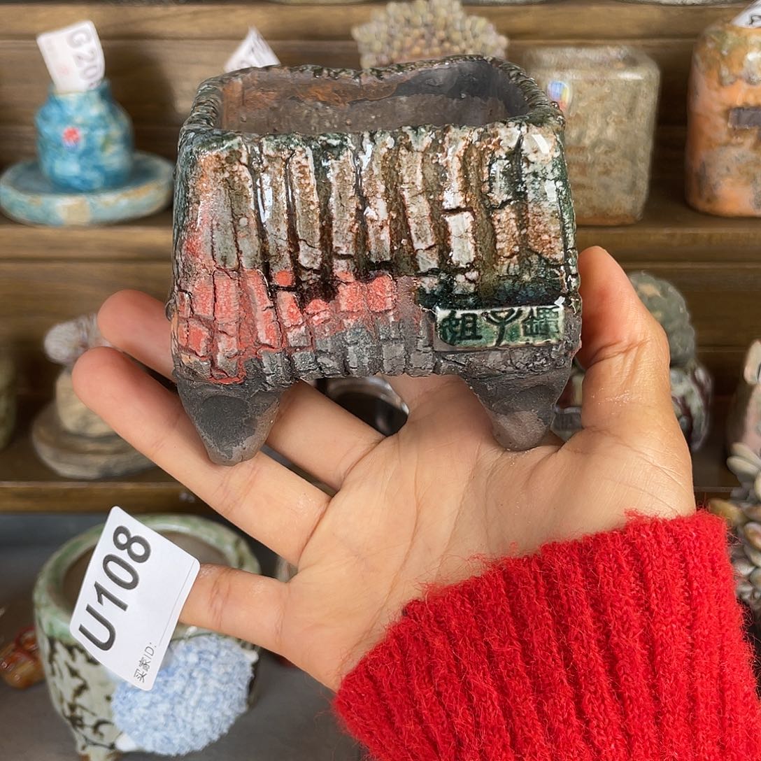 坛子姐花盆 枯木小方 内口7百搭