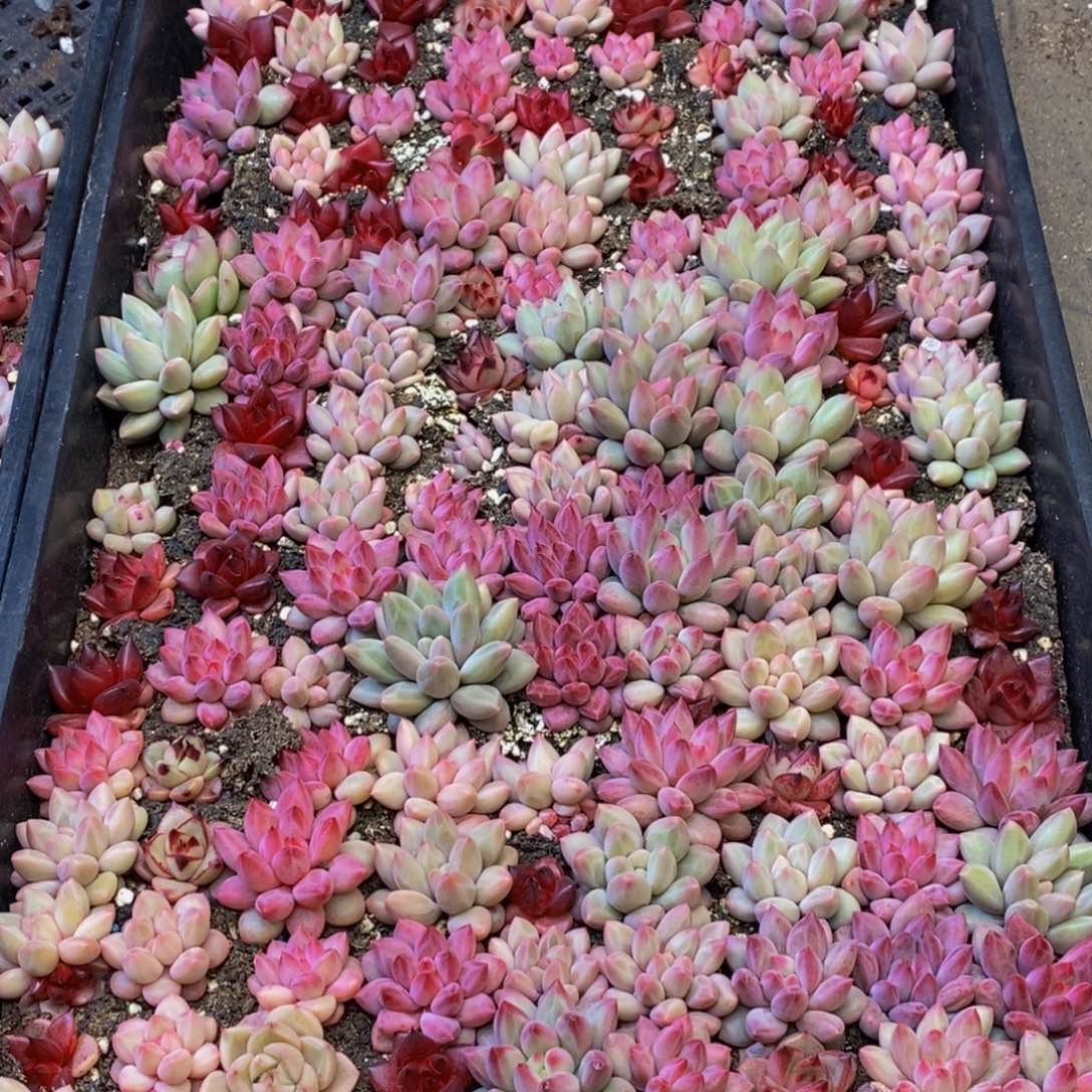 怡*居254的时候我们都是一