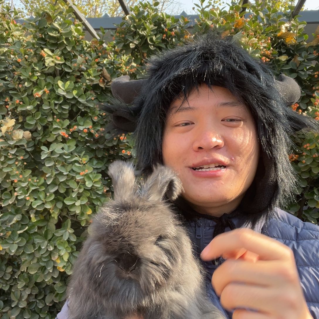 y***7宠物兔英系安哥拉兔