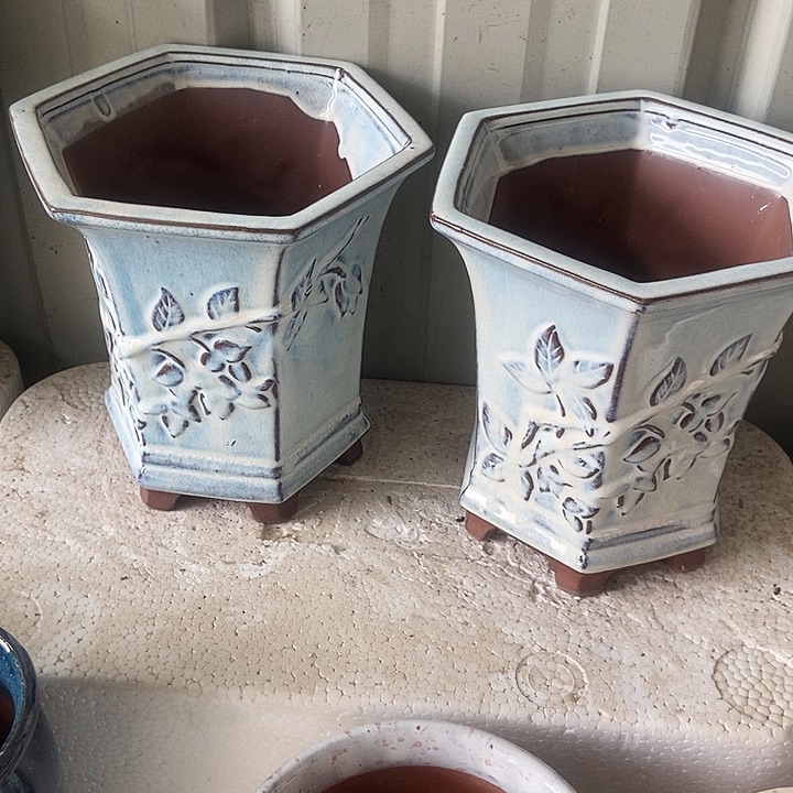 红糖18。。。。18。。。。。。。