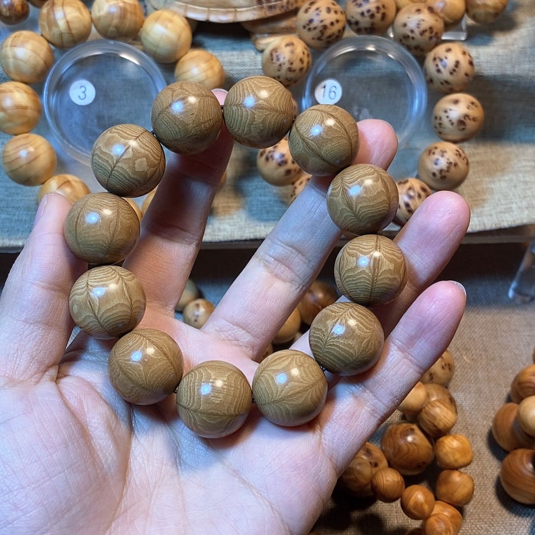 柏木（崖柏）六道木2.0。…..