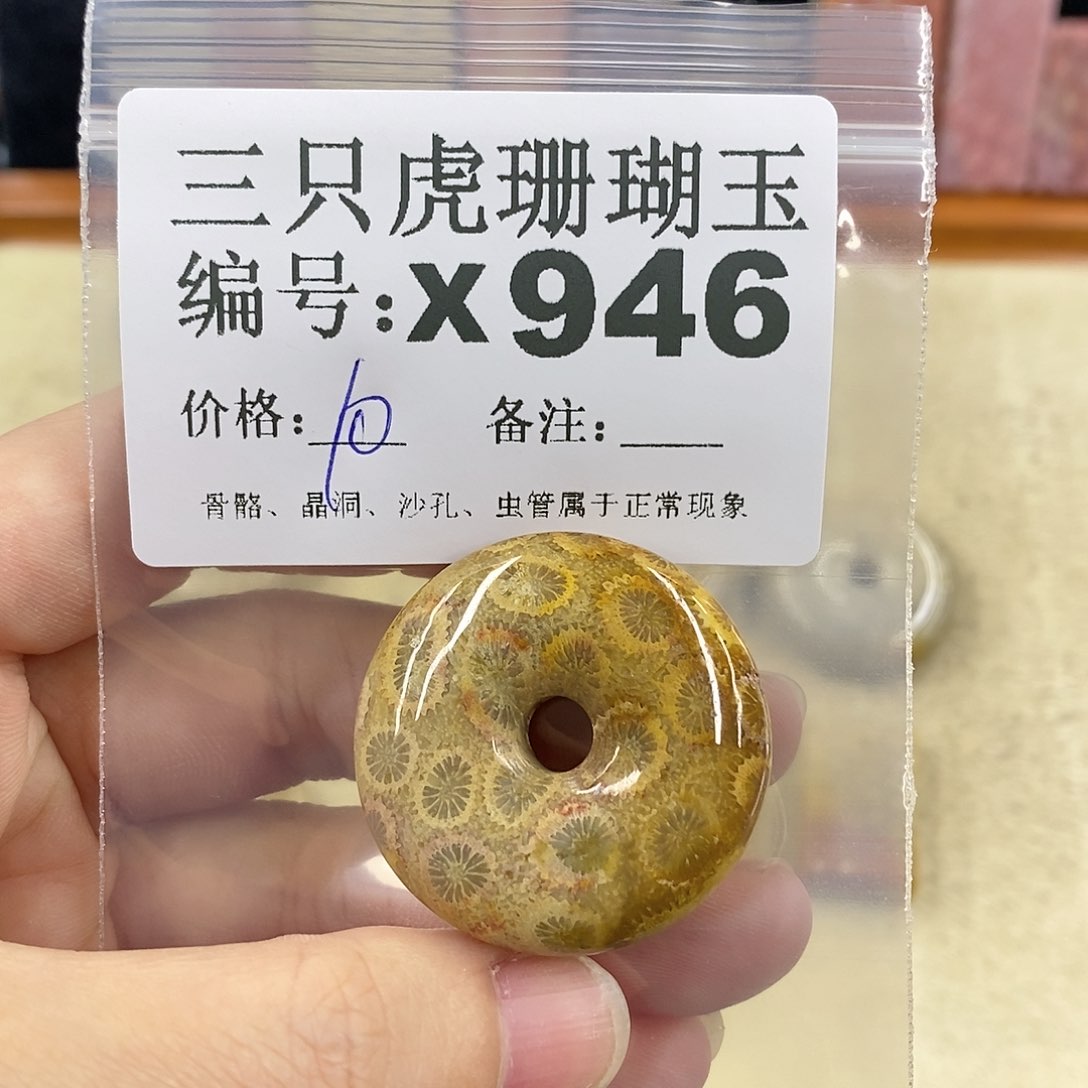 硅化珊瑚（珊瑚玉）1未镶嵌王