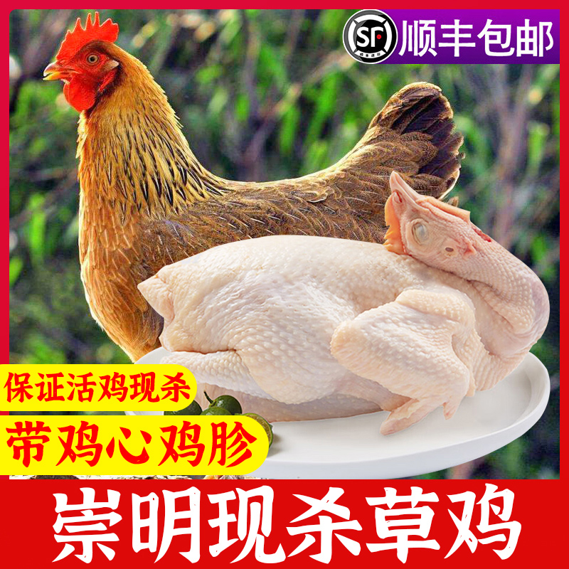 [发顺丰]崇明林地散养草鸡1只鲜品带心肝胗现杀现鲜发推荐白切
