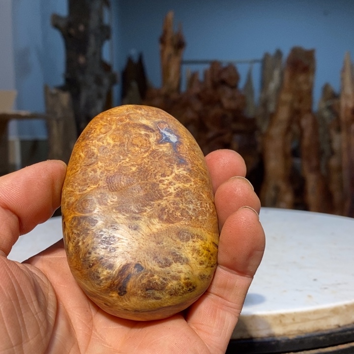 老****活我们都是你的粉丝50