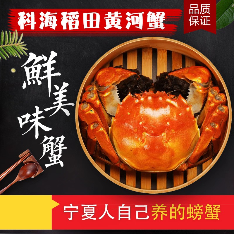 【活蟹】 塞上湖蟹公蟹2.8-3两 6只/8只/10只装 顺丰同城急送