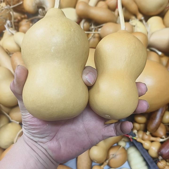 ༄***࿐两个本章两个本章