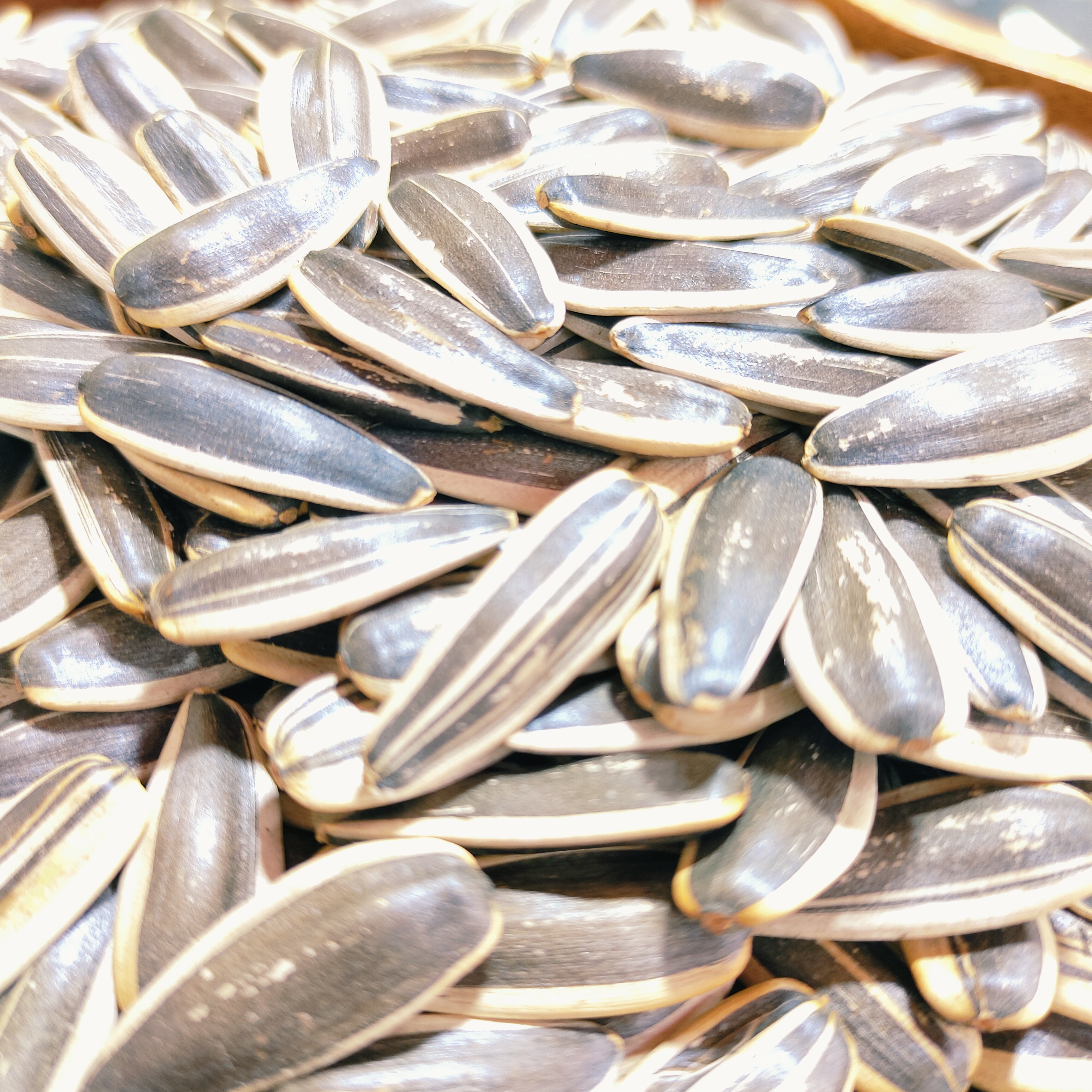 内蒙大瓜子满口留香