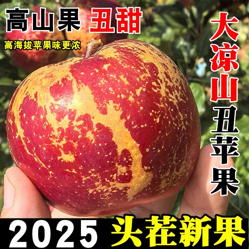 云南昭通冰糖心丑苹果新鲜现摘脆甜多汁产地直发水果