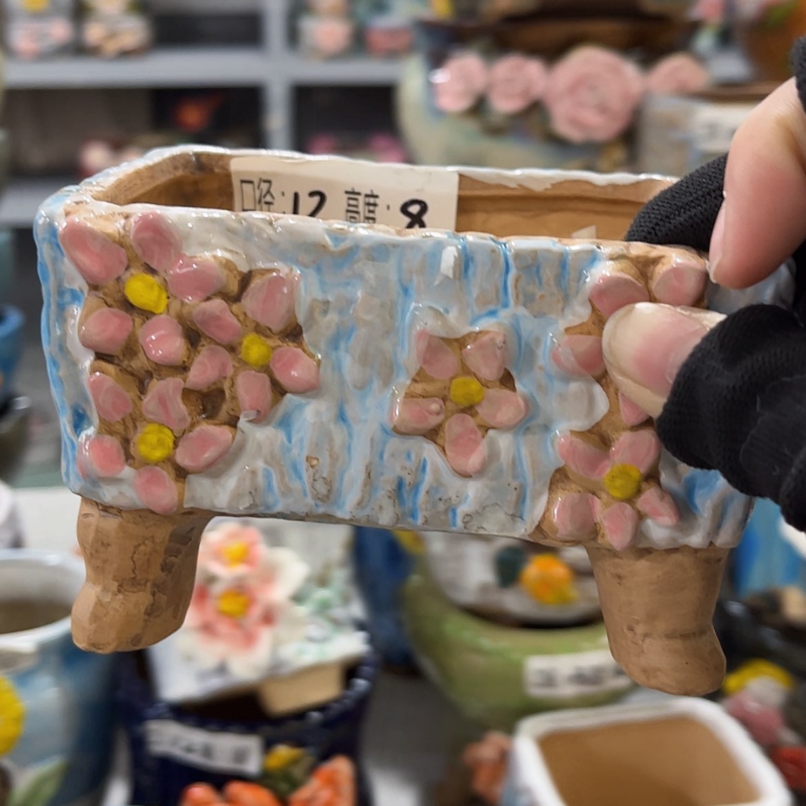 【闪购商品】红陶福利