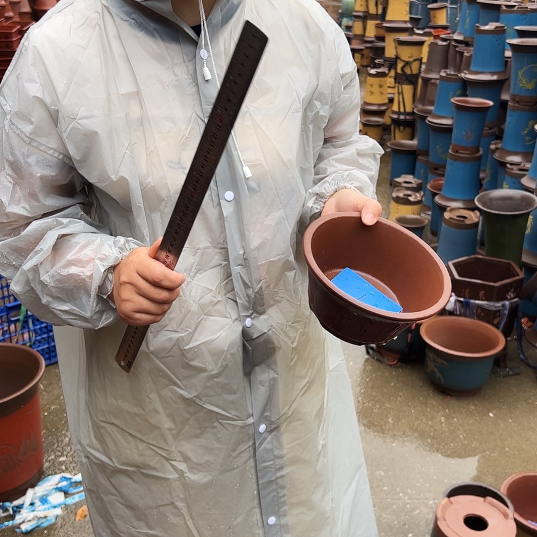 花盆花盆花盆花盆a1