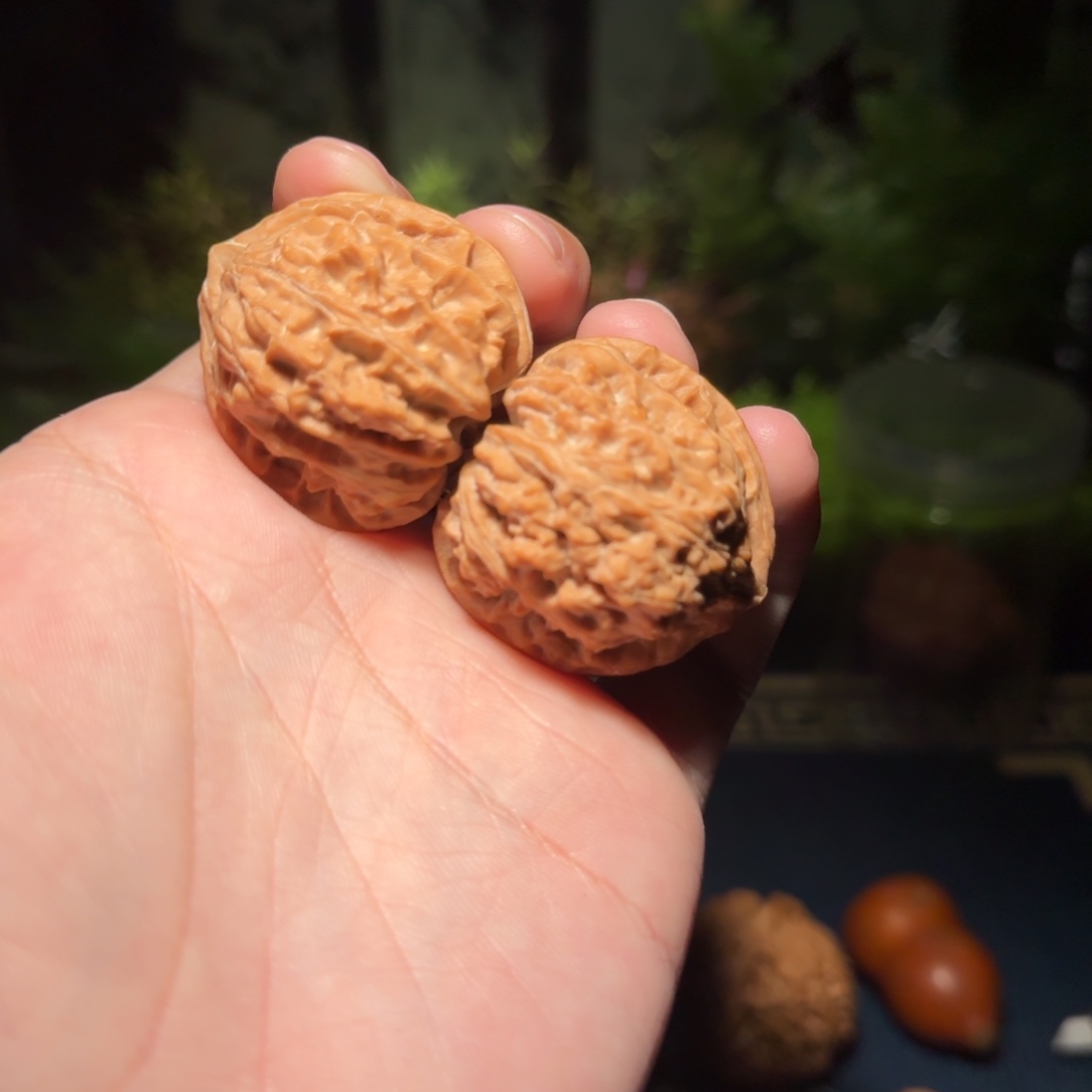 2612号36纯野生文玩核桃