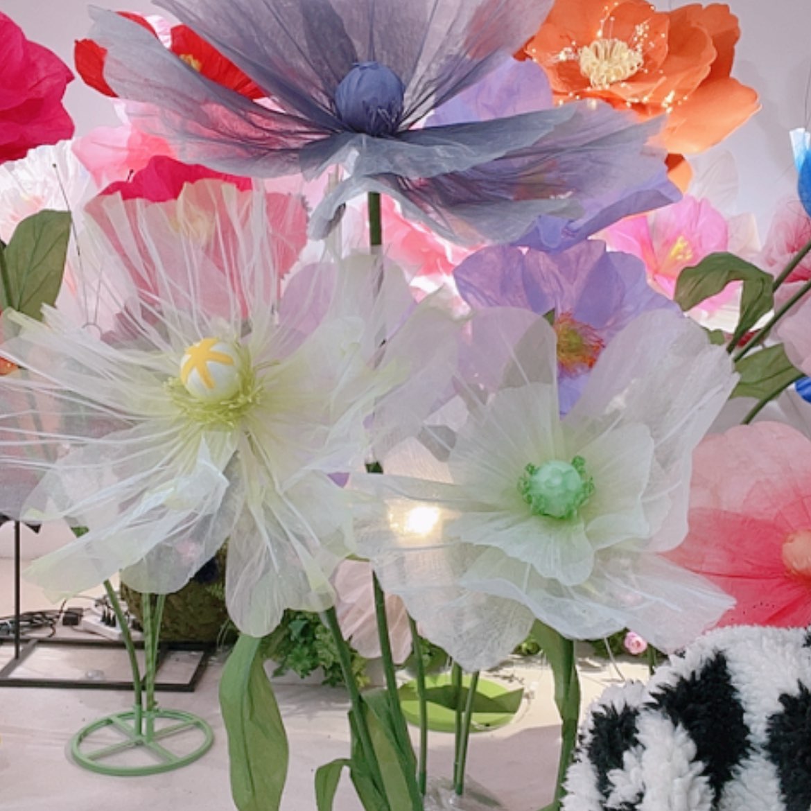 【闪购商品】单花头