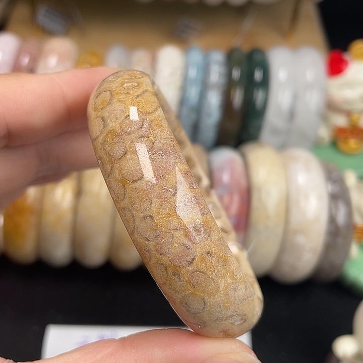 硅化珊瑚（珊瑚玉）未镶嵌手镯58+