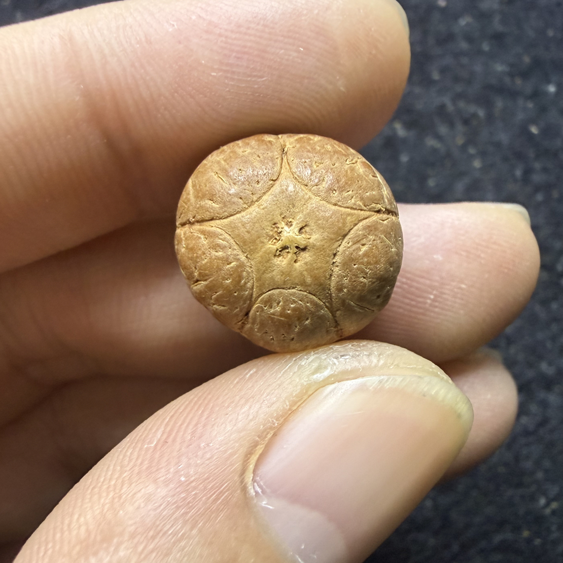 16+凤眼菩提五星凤眼，厚度13mm，非质量问题开孔不退不换。