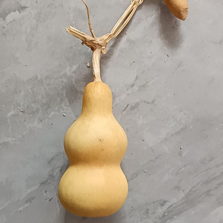 北**城葫芦葫芦葫芦葫芦