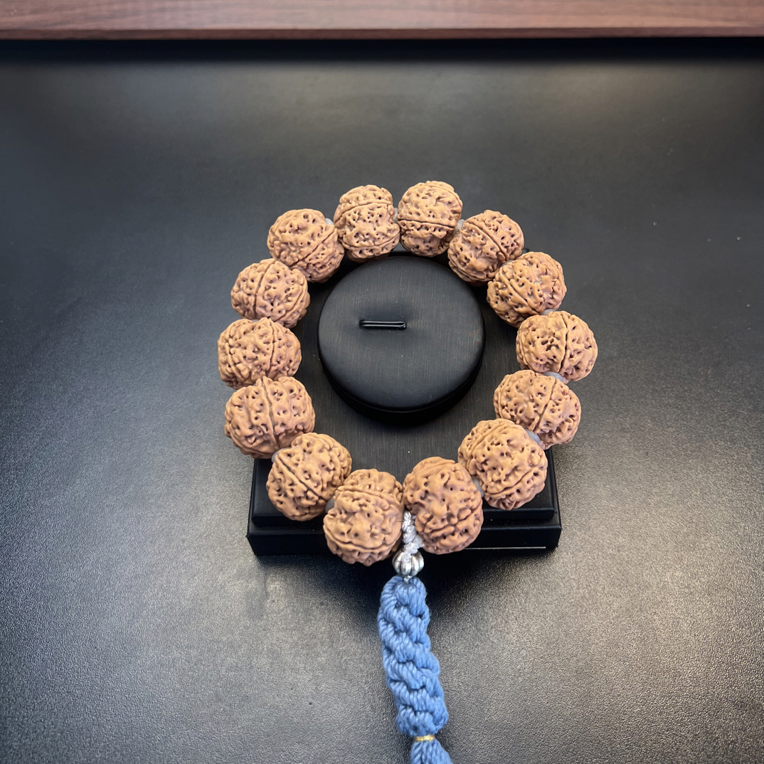 尼泊尔大金刚-老树大梅花