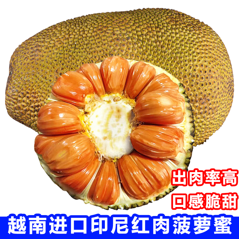 【分块菠萝蜜】进口印尼红红肉菠萝蜜直播现称一物一拍京东包邮