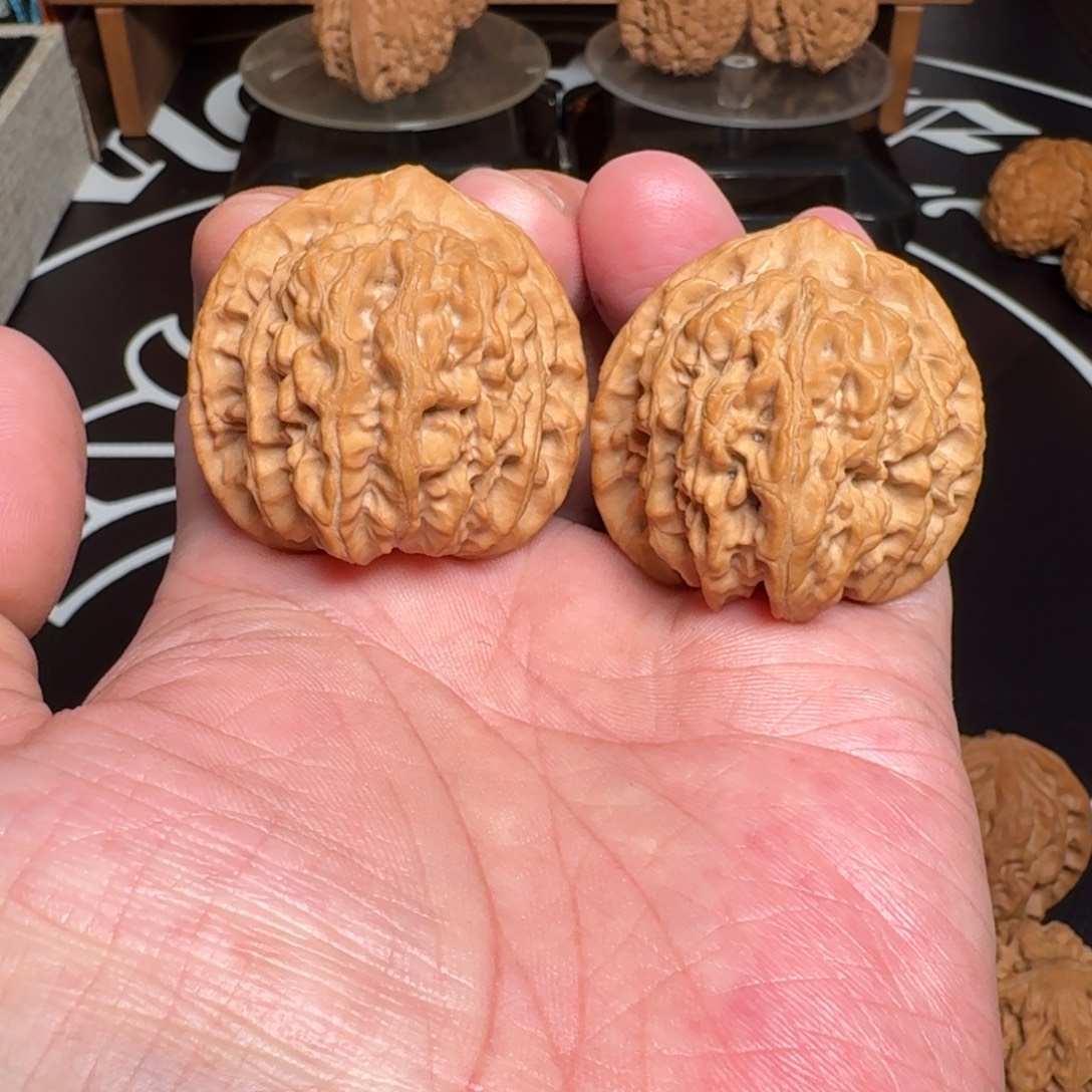 吊坠文玩核桃全品珊瑚纹 尺寸40