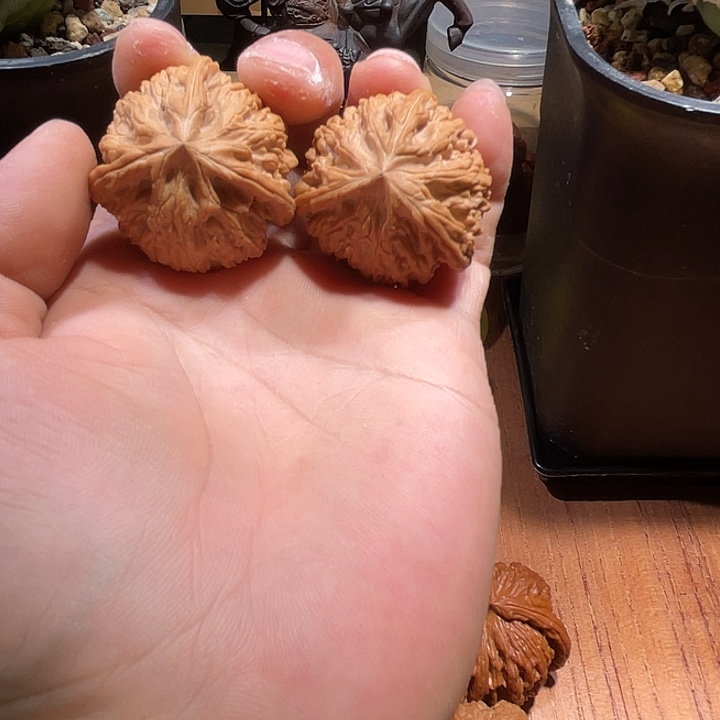 欢***弟全品37尺寸文山三棱