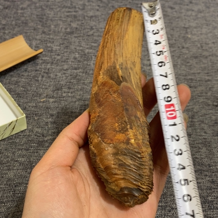 紫砂茶杯非常漂亮好看的碗