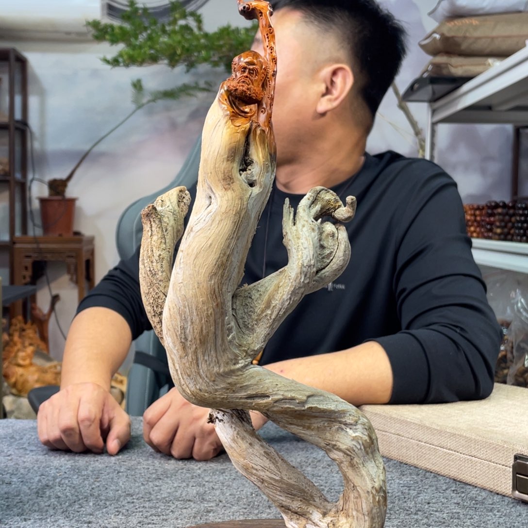 黔***游柏木（崖柏）太行崖柏8888888888