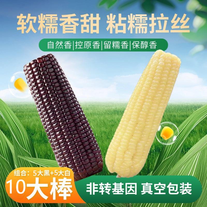 【试吃3根 到手10根】东北白糯玉米黑糯黏玉米组合[净重6斤以上]