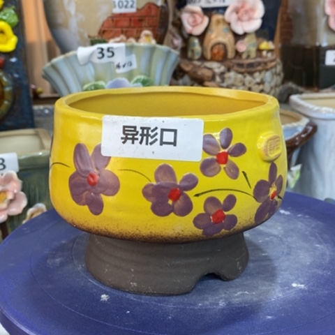 【闪购商品】红陶，