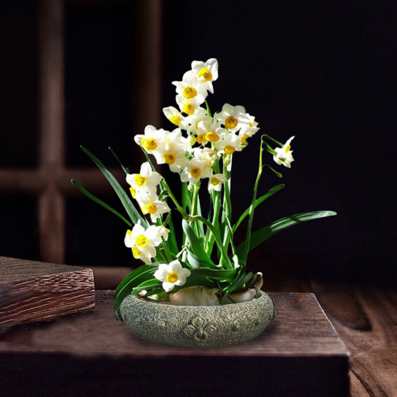 石锦坊家居 福钉纹盆 户外花盆摆件