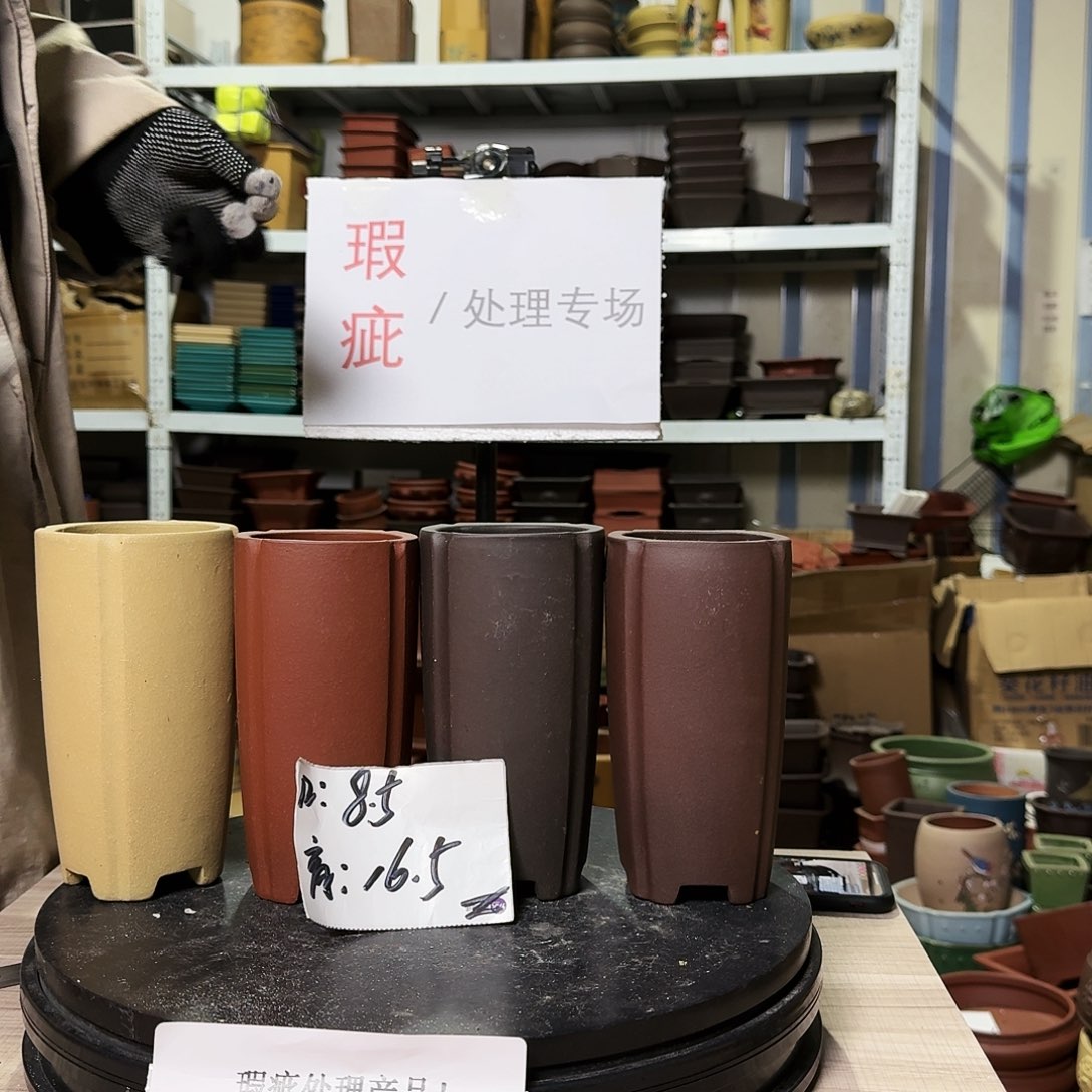 紫砂花盆哈哈这几集都在