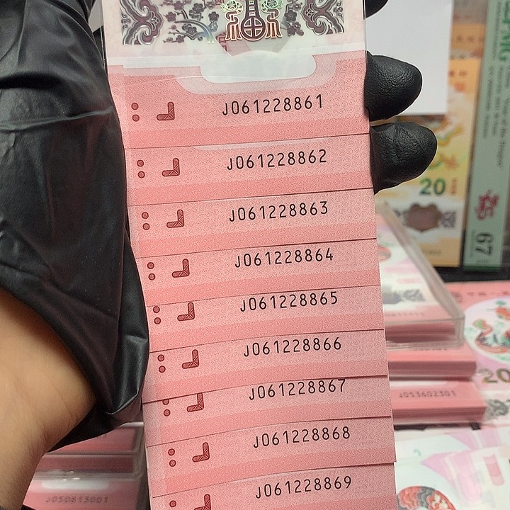 061228861蛇钞朦胧连对子标十裸钞