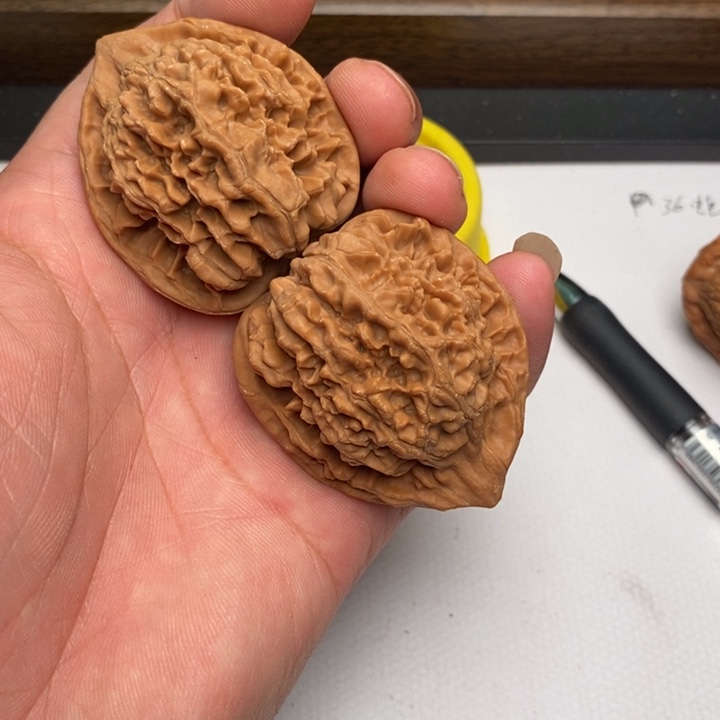 麒麟纹狮子头44尺寸