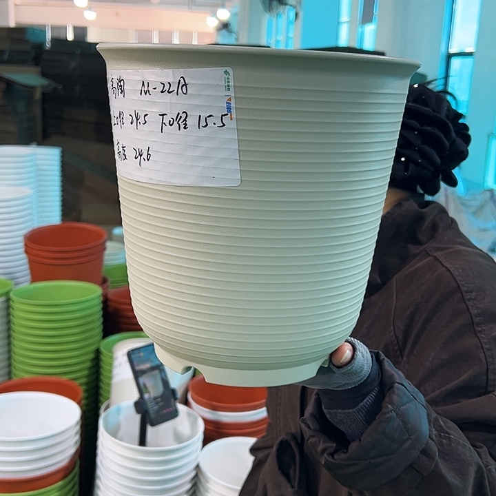 正品高陶口24高24米色无托5个