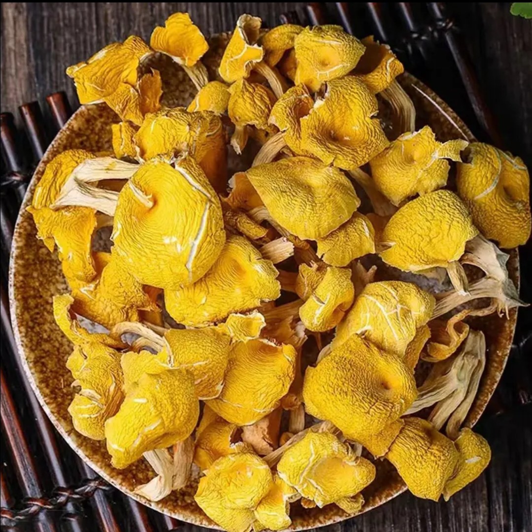 农家鸡油菌干货煲汤炒菜营养美味鲜嫩多汁