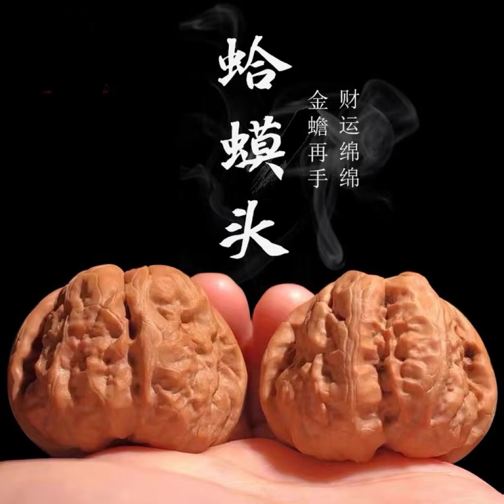 文玩核桃蛤蟆头大粗筋白狮子