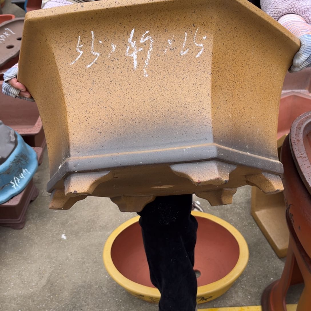 紫砂花盆盆景艺术