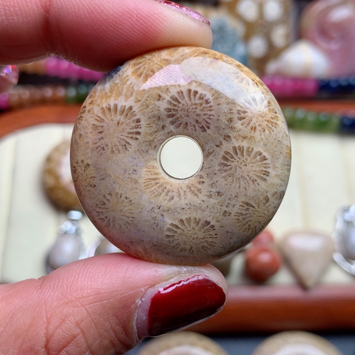 硅化珊瑚（珊瑚玉）颈饰未镶嵌