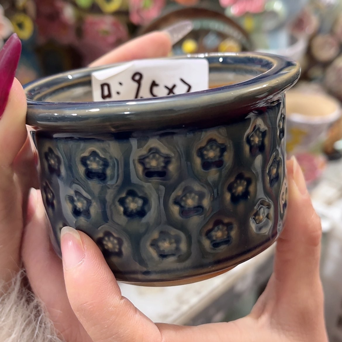 【闪购商品】红陶福利